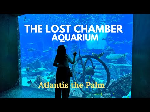 The Lost Chamber Aquarium | Atlantis the Palm #aquarium