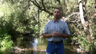 Stream Maintenance Program  - Flood Protection