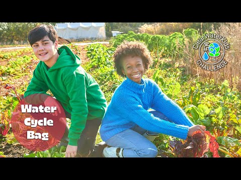 Water Cycle Bag | ClearWaterKids Challenge | Shaftesbury Kids