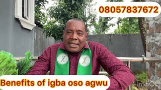 Benefits of igba Oso agwu 