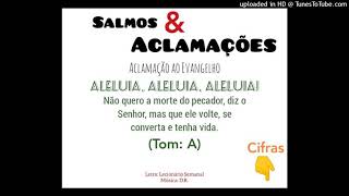 Vídeo de ALELUIA - NÃO QUERO A MORTE DO PECADOR (Salmos e Aclamações)