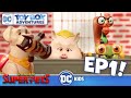Aventuras DC de juguetes en Latino |la Liga DC de las Supermascotas - Día de entrenamiento| DC Kids
