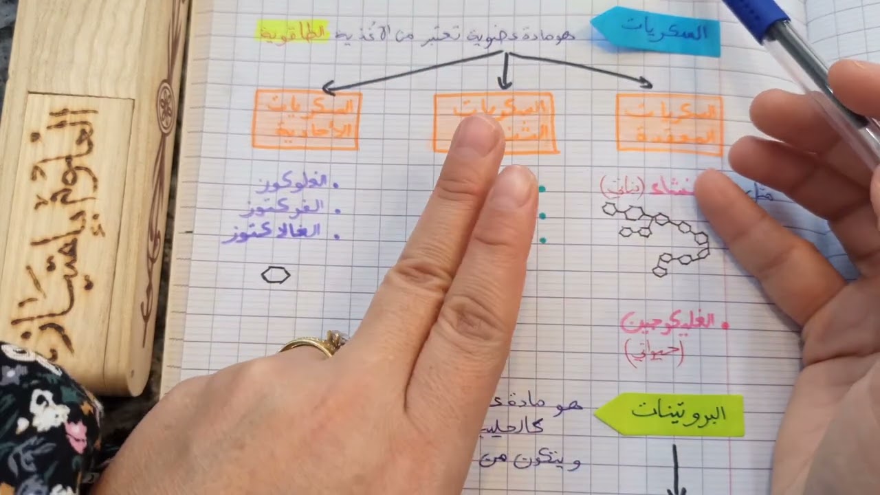 bem2025 يالله نبداو مع بعض نفهمو بعض الأمور