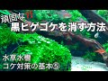 水草水槽のコケ対策 基本⑤「黒髭ゴケ（クロヒゲゴケ）を消す方法」～How to Control and Remove Aquarium Algae コケ対策