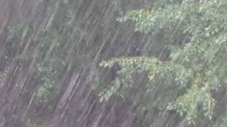 Летний ЛИВЕНЬ. Дождь. Вид с лоджии. Shower. Rain