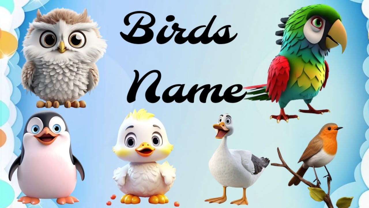 learn birds name in English | birds name | 15 birds name 