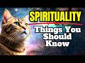 Discover 16 SPIRITUAL Things You Dont Know About CATS.