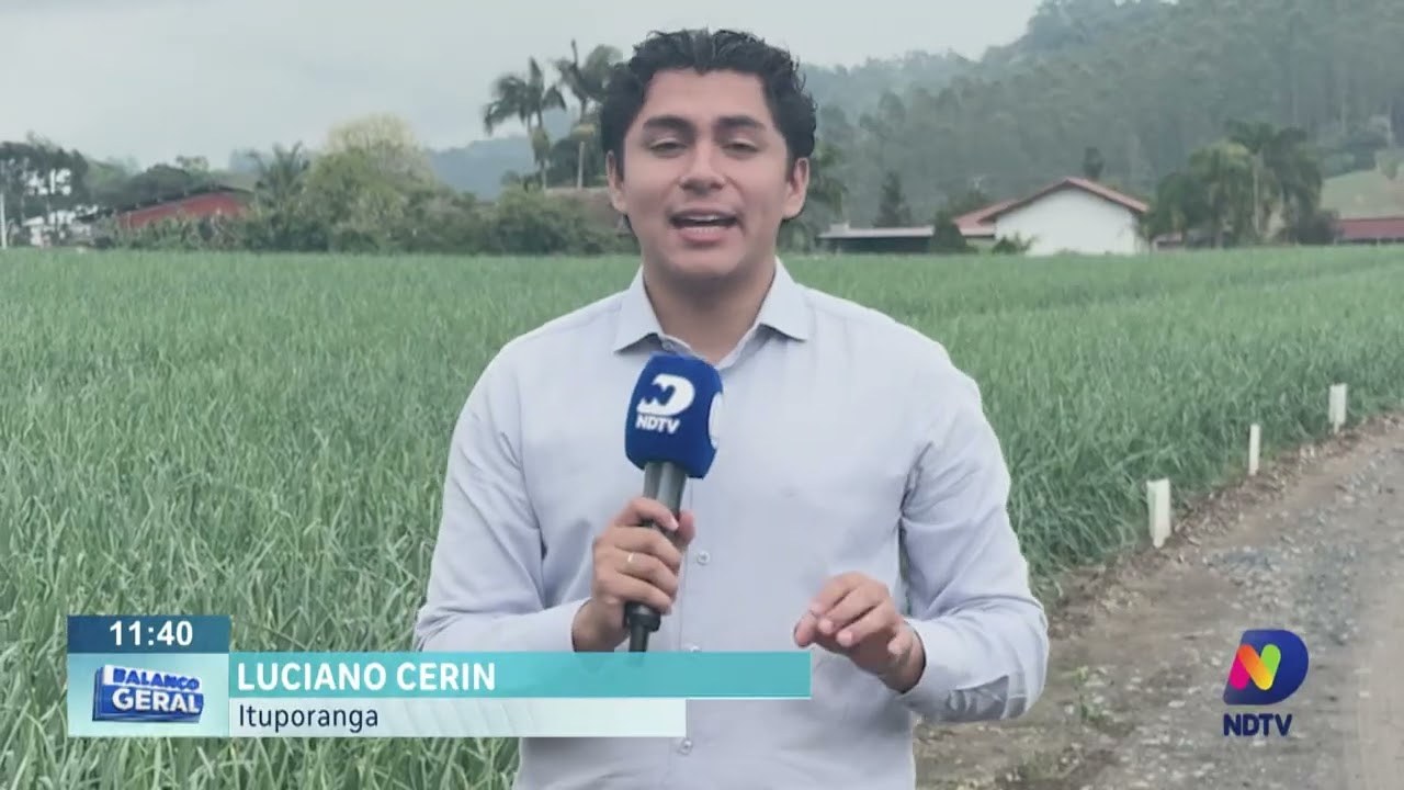 Agricultores se preparam para colheita da cebola em Ituporanga