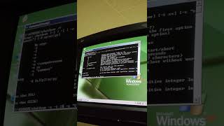 Shut down Windows XP to stop seeing this awful operating system in the BACKROOMS