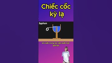 Chiếc cốc Tham lam của Pythagoras | Chiếc Cốc Kỳ Lạ | Khai Sáng #shorts