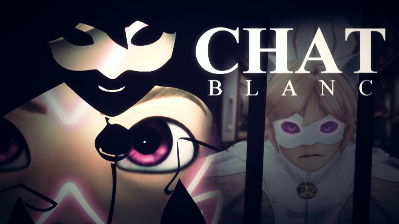 Chat Blanc Akumatizedchat Noir Au