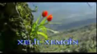 Xelîl Xemgîn Siwaro - خليل غمكين سوارو Resimi