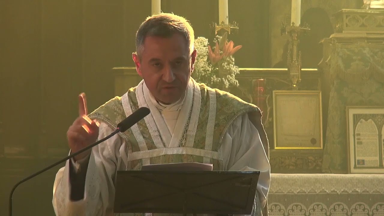 Homélie du 20ème dimanche après la Pentecôte (Abbé Spriet)