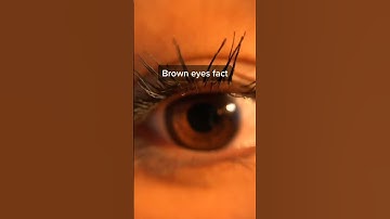 Thumbnail of Brown Eyes Fact #shorts #facts