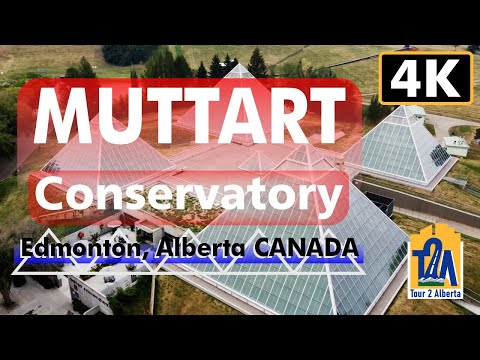 Muttart Conservatory Edmonton Alberta CANADA 4K Walking Tour Inside The 5 Pyramids Garden