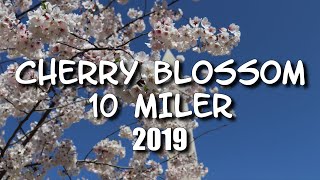 Cherry Blossom 10 Miler 2019 screenshot 1