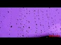 Dukh (tera naam aauga) Nachattar gill. whatsapp clip . Whatsapp Status Video Download Free