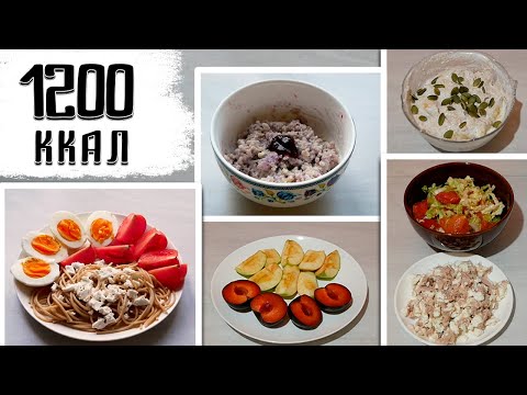 МЕНЮ НА 1200 ккал в день / Дневник питания на ПП