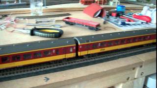 Benelux Stam In Neder-Kempen