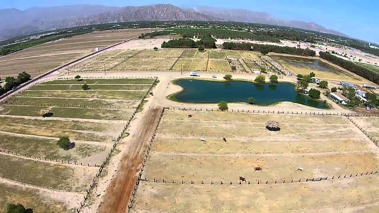 78 acre farm for sale PREMIER location in Coachella, Calif. YouTube