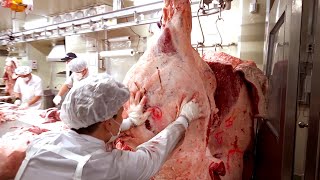 [EDUC] HOW TO BUTCHER A COW OF MEAT / PROCESS OF MAKING BEEF, Korean beef dismantling work / 한우 발골