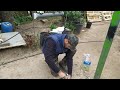 cómo eliminar panales de avispas / el huerto de Kevin