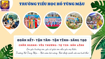 TRƯỜNG TH HỒ TÙNG MẬU TỔNG KẾT CUỐI NĂM HỌC 2023 - 2024