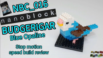 nanoblock NBC_016 | mini BUDGERIGAR bird model | Stop motion speed build review