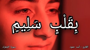 تلاوة   تفطر القلب   القارئ اسد حمود
