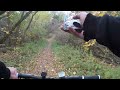 Страх и Ненависть в Лесопарке 10 октября