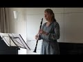 Karin teunissen klarinet en dick teunissen piano grand duo concertante  rondo cm von weber