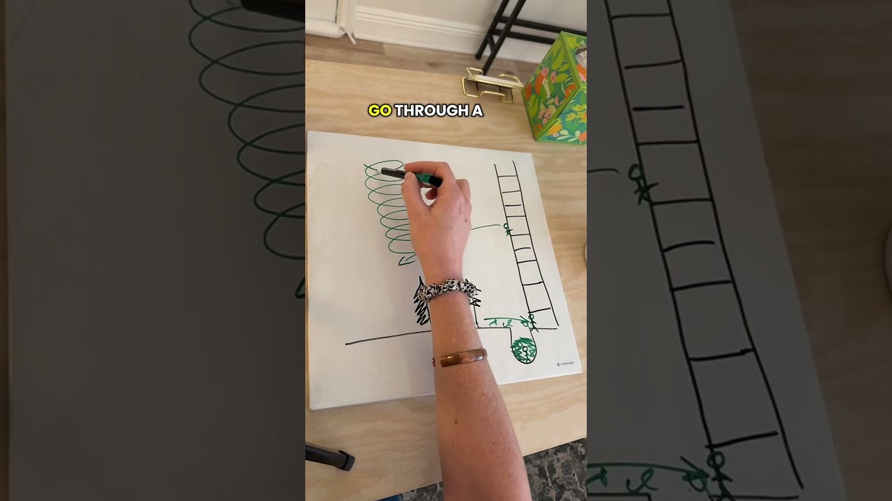 Breaking trauma loops