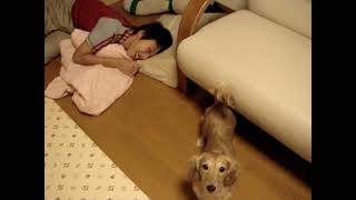 【vivi】20100701航はしゃぐ