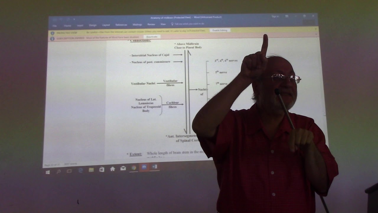 Neuroanatomy 50 ( Midbrain , part 5 ) , by Dr. Wahdan - YouTube