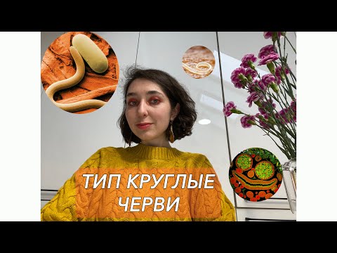 Урок "Тип Круглые черви" - ЦТ, ЕГЭ, ЗНО