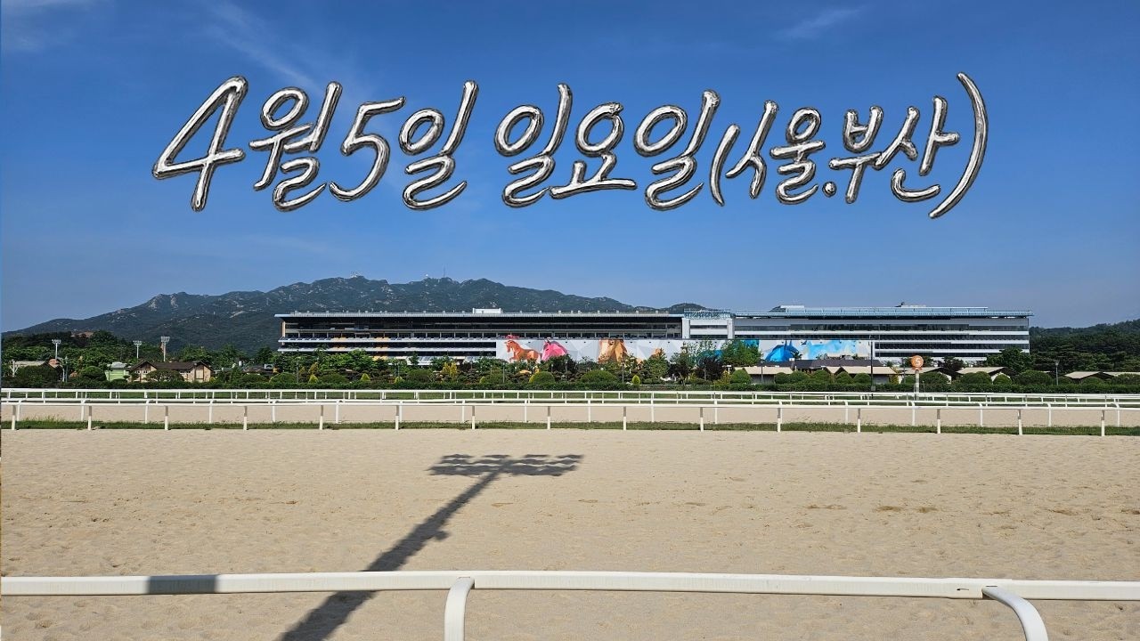 [ 2026년 4월 5일 일요(서울.부산)경마~!]