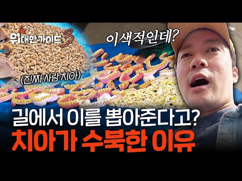 수북하게 쌓여있는...치아?🦷 광장 한복판에 왜 생니가!?😨 l #위대한가이드3 l #MBCevery1 l EP.10