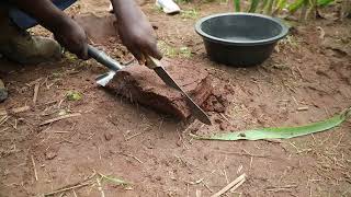 (S4A Soil Sampling Protocol-French)   Sampling with Spade