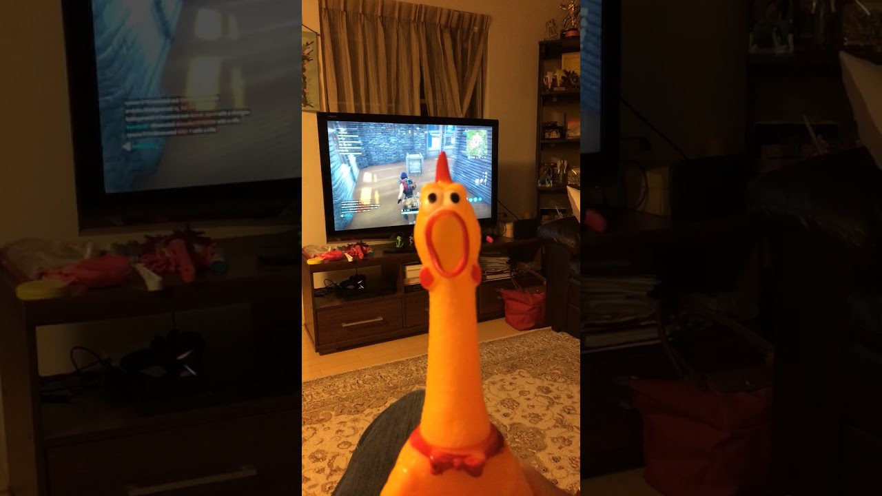 I got a rubber chicken YouTube