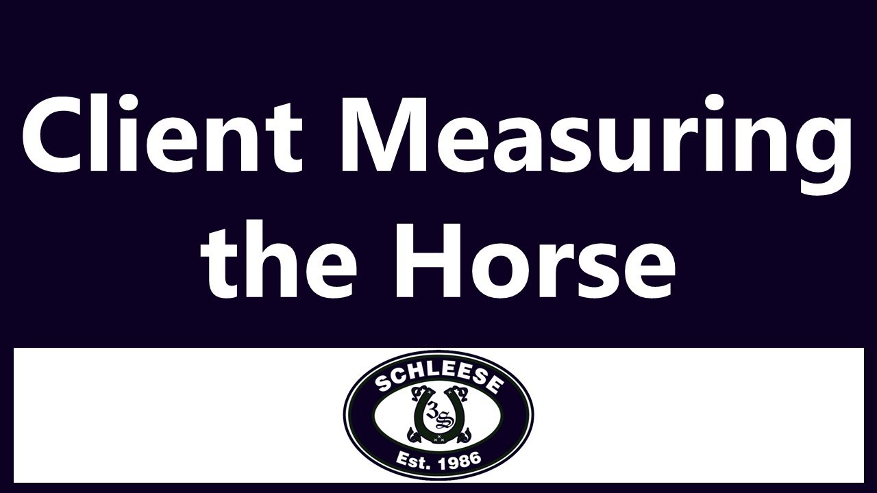 How Schleese Would like You to Measure Your Horse - The Schleese Method