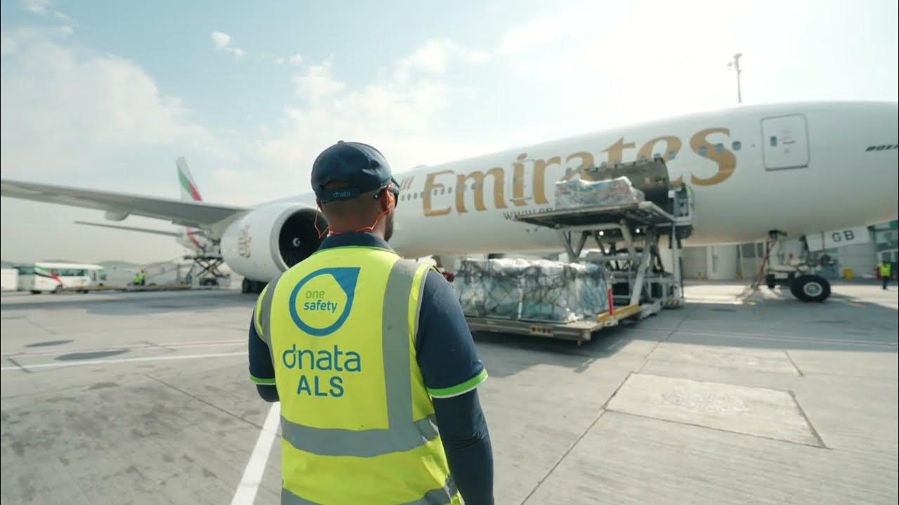 baggage-handling-cargo-in-dubai-dnata-youtube