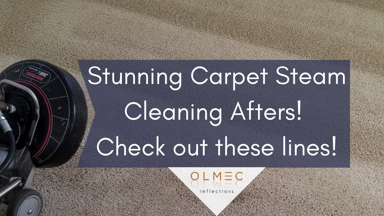 Carpet Steam Cleaning Afters! Check out these lines! YouTube