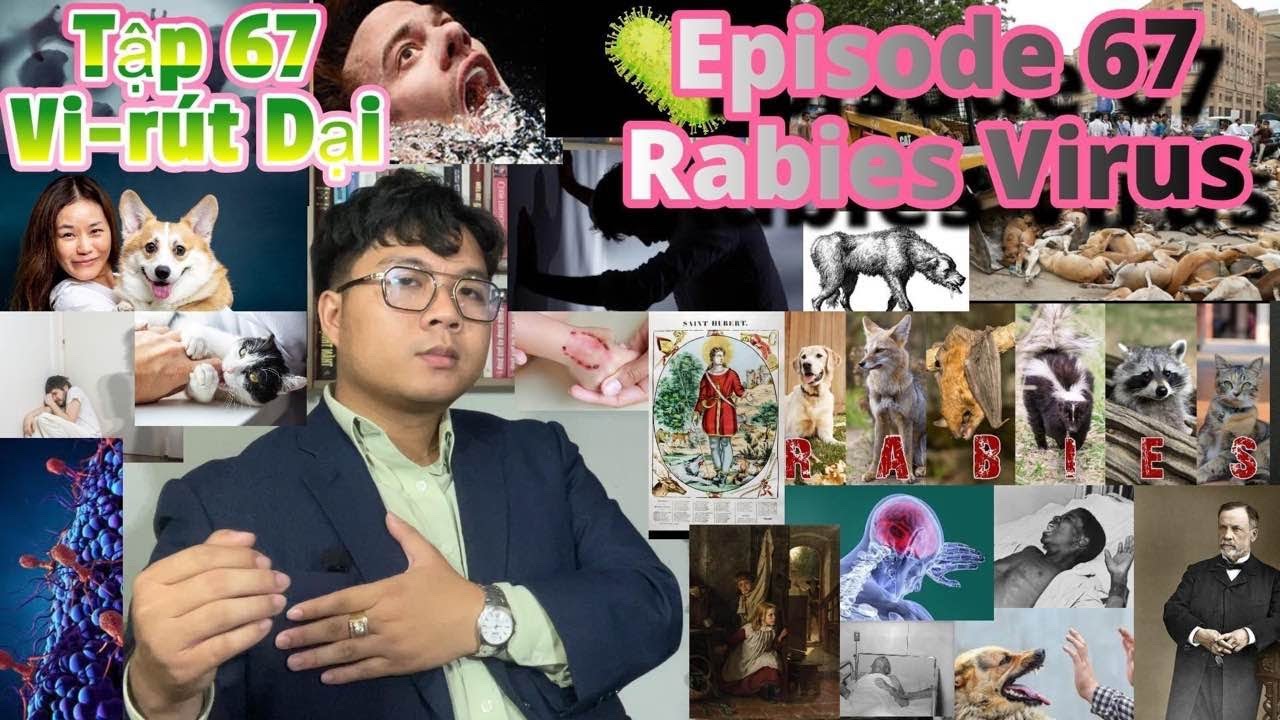 Episode #67: RABIES VIRUS | VI-RÚT DẠI - NGUY HIỂM NHẤT HÀNH TINH - YouTube