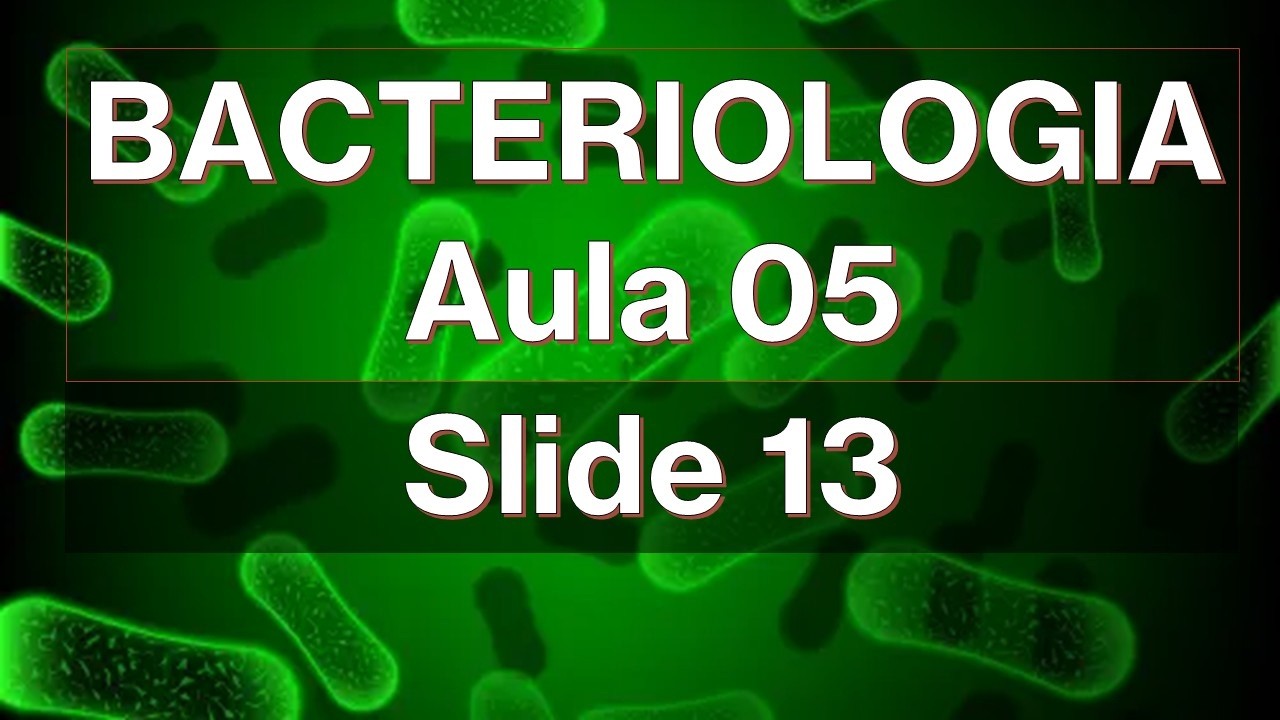 Peptidoglicano: Funções, Estrutura E Síntese – KUBU