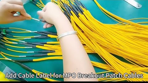 Add Cable Label for MPO Breakout Patch Cables