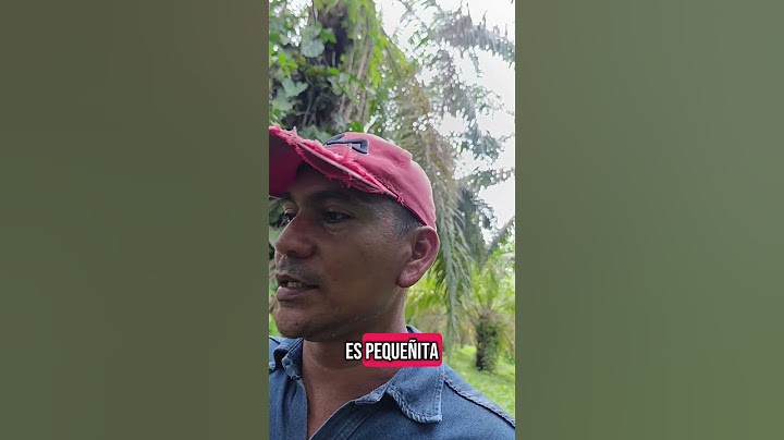estas cuatro nariz son peligrosas