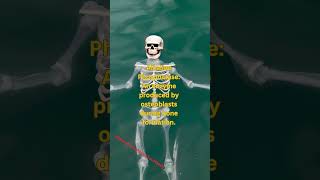 Alkaline Phosphatase?