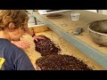 StrongSoil Formulation