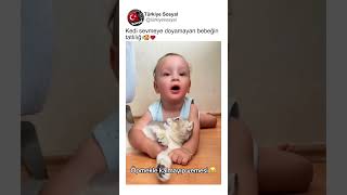 Kedi Seven Bebeğin Tatlılığı