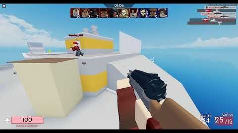 When you get the Calico in Randomizer (Roblox Arsenal)